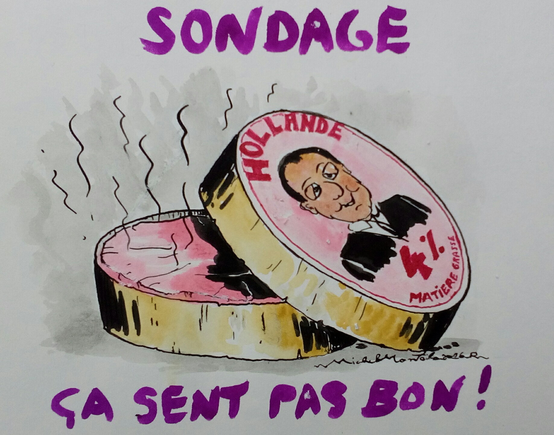 HOLLANDE le fromage allégé à 4% de matière d opinion